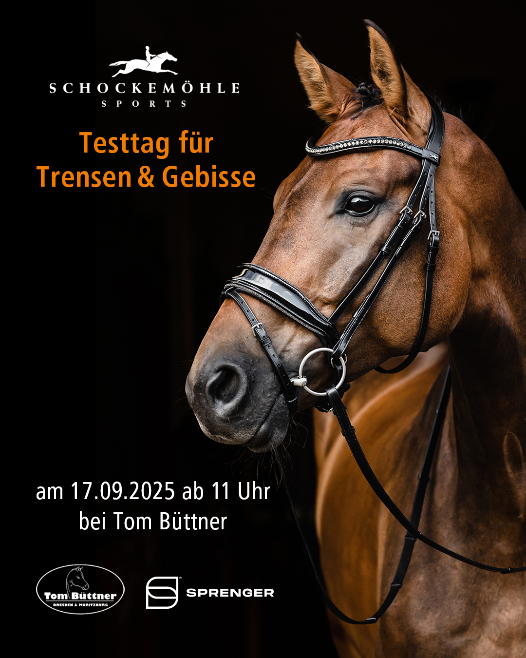 Trensen-Test-Tag 2025