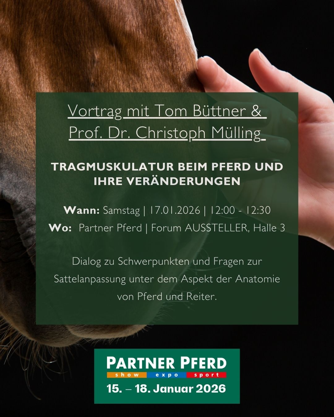 Tom Büttner bei der Partner Pferd 2026