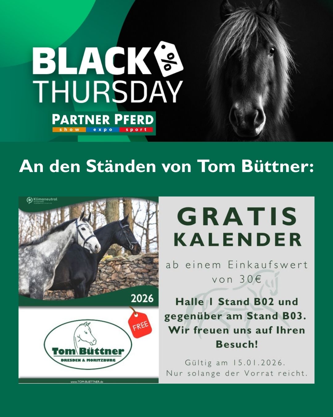 Tom Büttner bei der Partner Pferd 2026